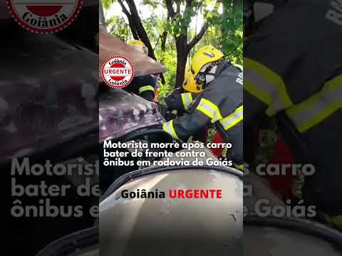 Motorista morre após carro bater de frente contra ônibus, em Goiás