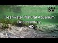 Freshwater Natural Aquarium Documentary HD Mikolji