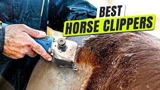 3 BEST Horse Clipper