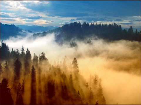 STL&Ekuś - Plany na przyszłość