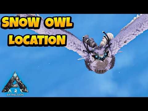 Steam Community :: Video :: How to Find Snow Owl in ARK Ascended ...