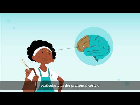 1. Who are adolescents? Inside the adolescent brain