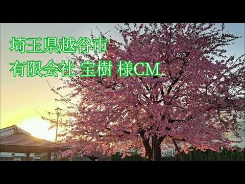 ご希望に沿ったナレーションをお届けします イメージ1