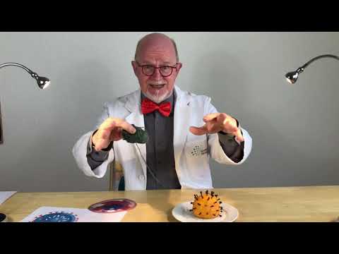 So funktioniert das Corona-Virus