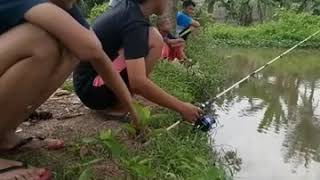 Download lagu mancing gokil mp3 Download lagu mancing gokil mp3