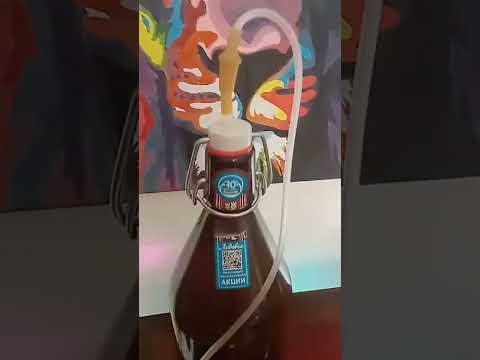 Самый дешёвый генератор CO2 для аквариума