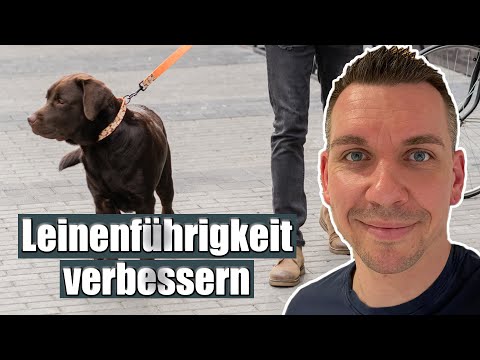 Richtiger Umgang mit der Leine - das macht fast jeder falsch