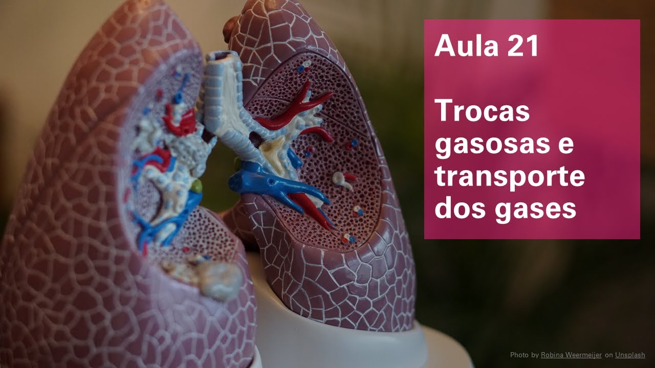 Videoaula 21 Trocas gasosas e Transporte dos gases