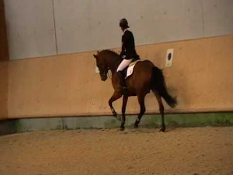 Lemercier, DSP Hengst v. Lemberger