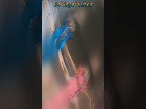 Points given from Sweden 🇸🇪 in Eurovision 1980