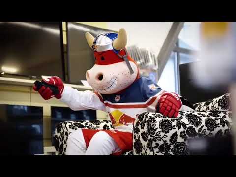 RedBulls Rob im Elektroland Mattighofen gesichtet!