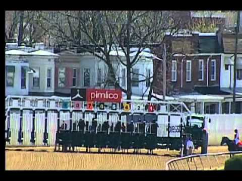 Pimlico 04/16/15 race 3