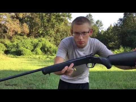 The Sights Work Great