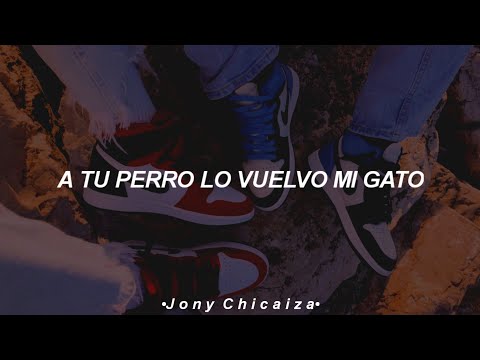 a tu perro lo vuelvo mi gato (Letra/Lyrics)