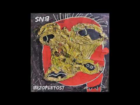 SNB ZAUVEK (official audio)