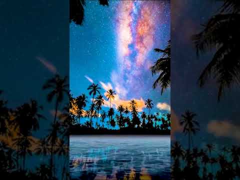 Palm Trees Beach Sand Stars,,,,,,,IRFAN COMPUTER