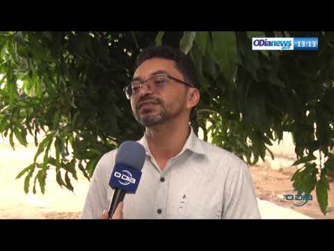 O DIA NEWS 06 09  Chuvas isoladas em pleno B R O BroÌ