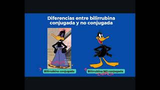 Metabolismo de la bilirrubina