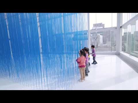 Amazing Art Installation by Jesús Rafael Soto