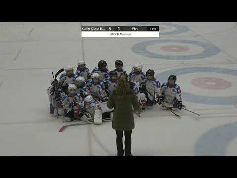 Sija 5-6  Pips - Karhu-Kissat Bears