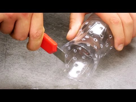 5 trucchi per sopravvivere all'ondata di caldo! ☀️ 😓