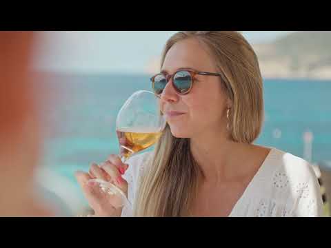 X Power 33C - 2x250 hp outboard engines