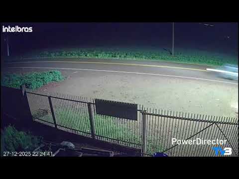 Boi provoca acidente na PR-090, entre os municípios de Alvorada do Sul e Bela Vista do Paraíso