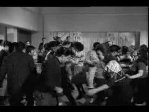 La Pulga video