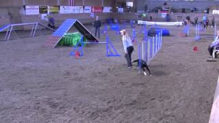 preview picture of video 'WM Qualies Agility in Zierow'