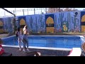 Momente Të Nxehta Einxhel Dhe Beniada Bëjnë Twerk Big Brother Albania Vip
