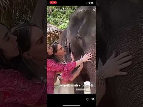 Steph and my best friends just recently and when they first saw each other at the end