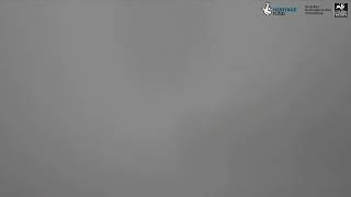 Buckinghamshire · College Lake bird hide live stream