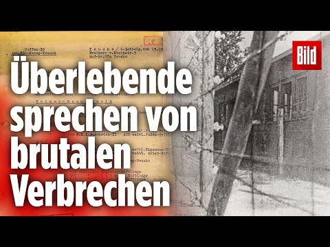 Brutale Verbrechen: So fand ich die geheimen Nazi-Akten zu Heckler & Koch
