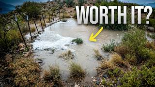 I Built Desert Beaver Dams 5× Faster. Are They Worth It?