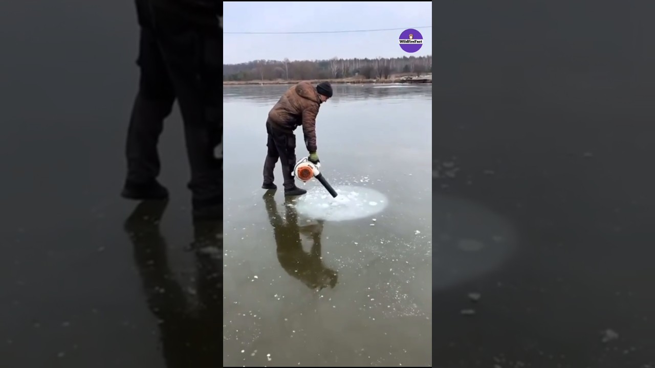 Amazing Way To Frozen Lake Hack #shorts #ytshorts