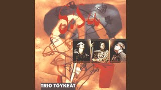 Music video thumbnail preview for The Wedding Waltz by Trio Töykeät