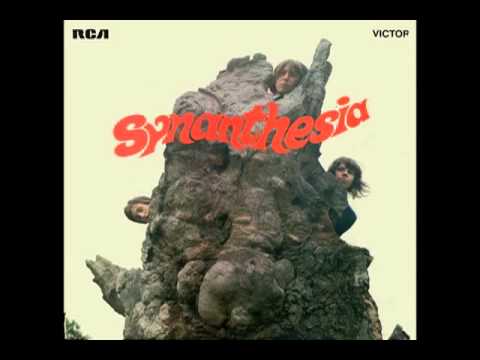 Synanthesia - The Tale Of the Spider And The Fly
