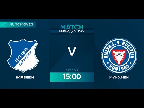 AFL 19. Germany. Bundesliga. Day 18. Hoffenheim - KSV Holstein