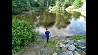 Afternoon Nature Walk in the woods / #mainelife #maine