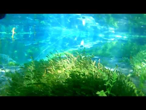 Ohrid Lake's Springs