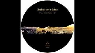 Seidensticker & Salour_FROM DUB TO DUB (Visionquest 026)