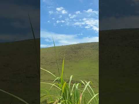Interior de Minas Gerais #sitio #natureza #nostalgia