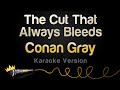 Conan Gray The Cut That Always Bleeds Karaoke Version