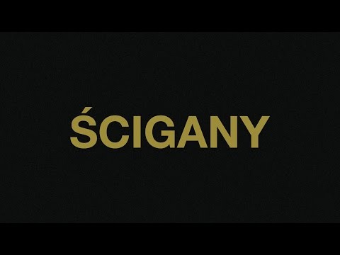 Sokół / Hades / Sampler Orchestra - Ścigany (audio)