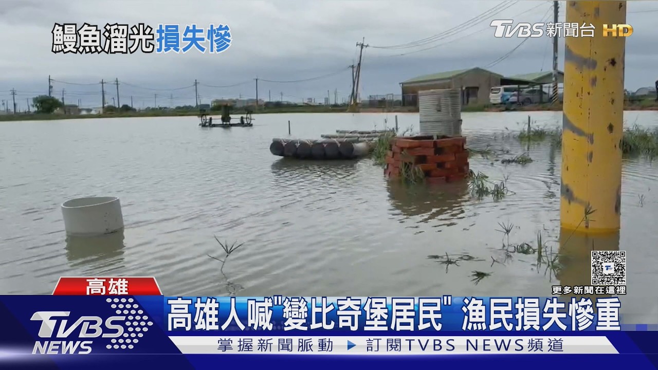 影音／鰻魚「捲款潛逃」！　豪雨淹魚塭60噸全混養　損失恐破百萬