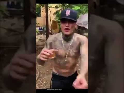 El pinche mara freestyle 2020