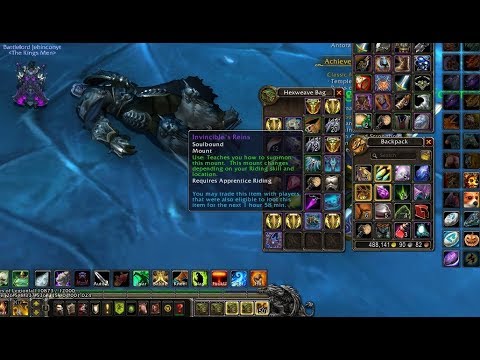 WoW: JUST GOT INVINCIBLE'S REINS!! HAPPY NEW YEAR!!