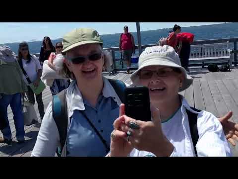 Fire Island Farewell: Saying Goodbye to Saltaire (Stopenhagen on the Coast)