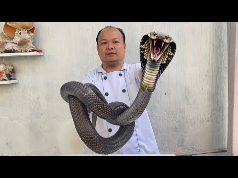best cooking recipe 1 king cobra, vietnamese food // best cooking
