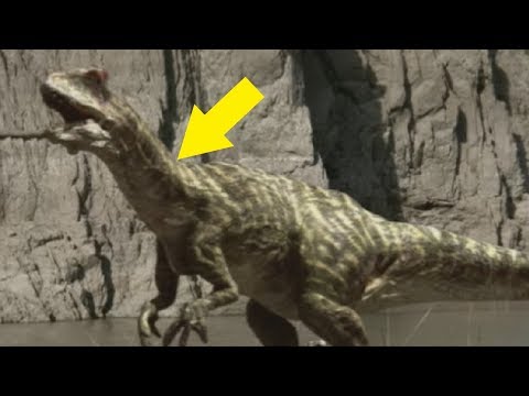 5 dinosauri che sono MOLTO più spaventosi di quanto pensi!